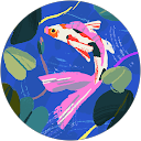 debora M. profile picture